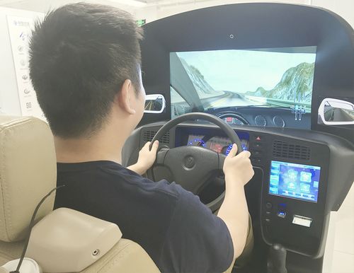 真实模拟开车-真实模拟驾驶开车
